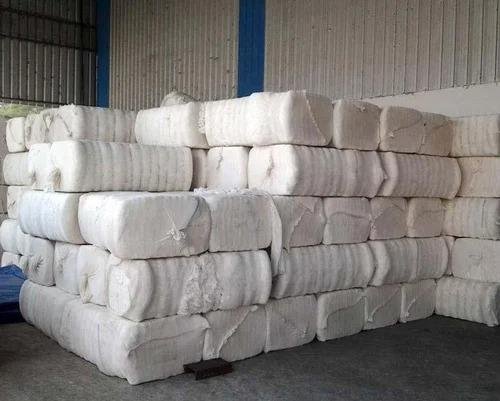 Indian Cotton Bales